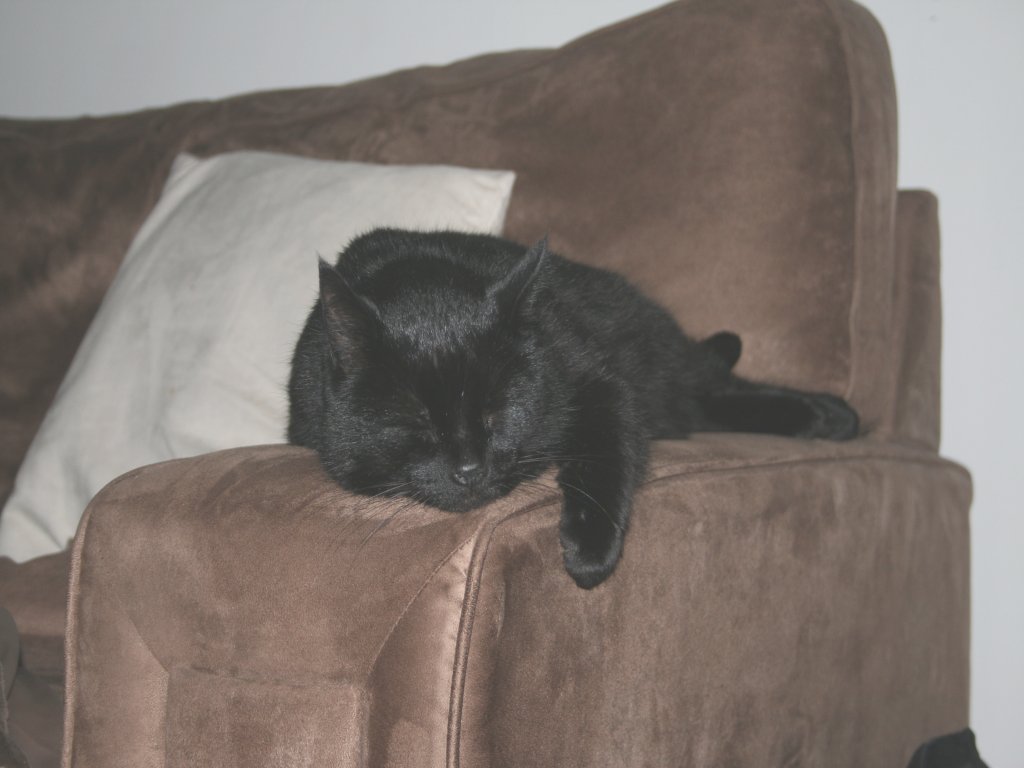 DDC Gilles