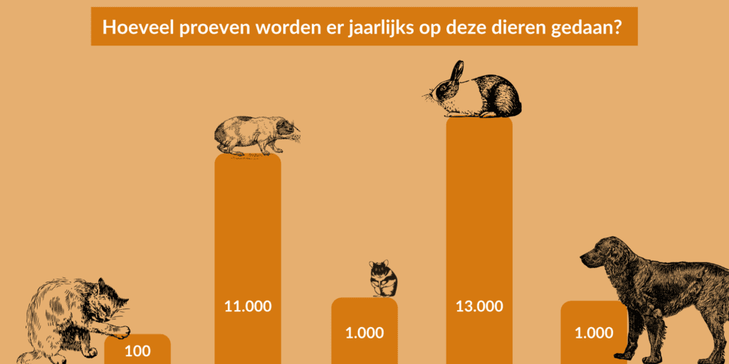 dierendag