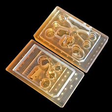 MIT Organs Chip MIT Organs Chip