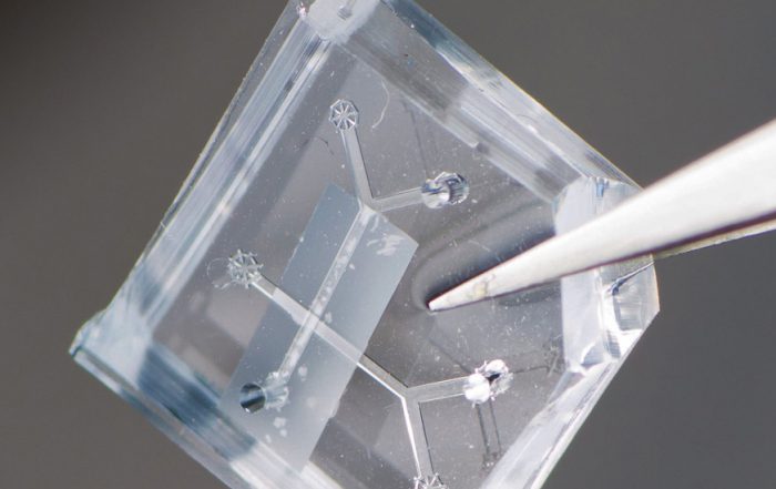 Orgaan-on-a-chip