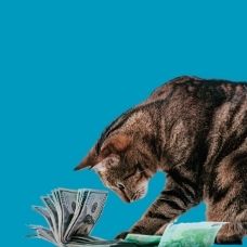 Linkafbeelding jaarverslagen 228×228 kat jaarverslag Proefdiervrij
