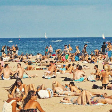 Zonnebrand proefdiervrij