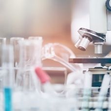 Lab