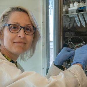 Dr. Twan de Vries
