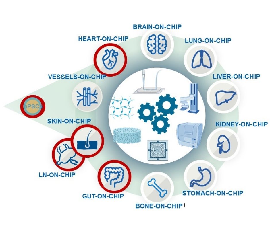 LymphChip-project