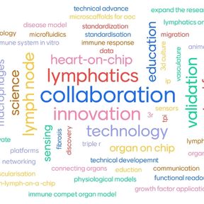 LymphChip