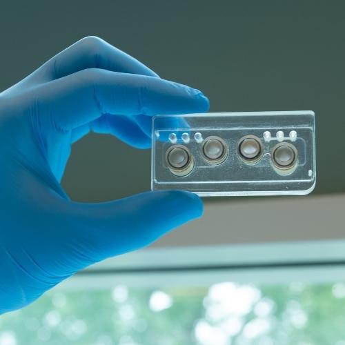 Wat is een orgaan-op-een-chip?