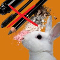 cosmetica