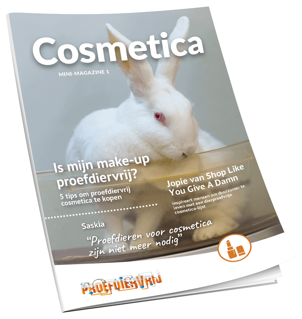 mockup_magazine (1)