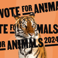 efa stem voor dieren