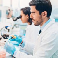 lab lab