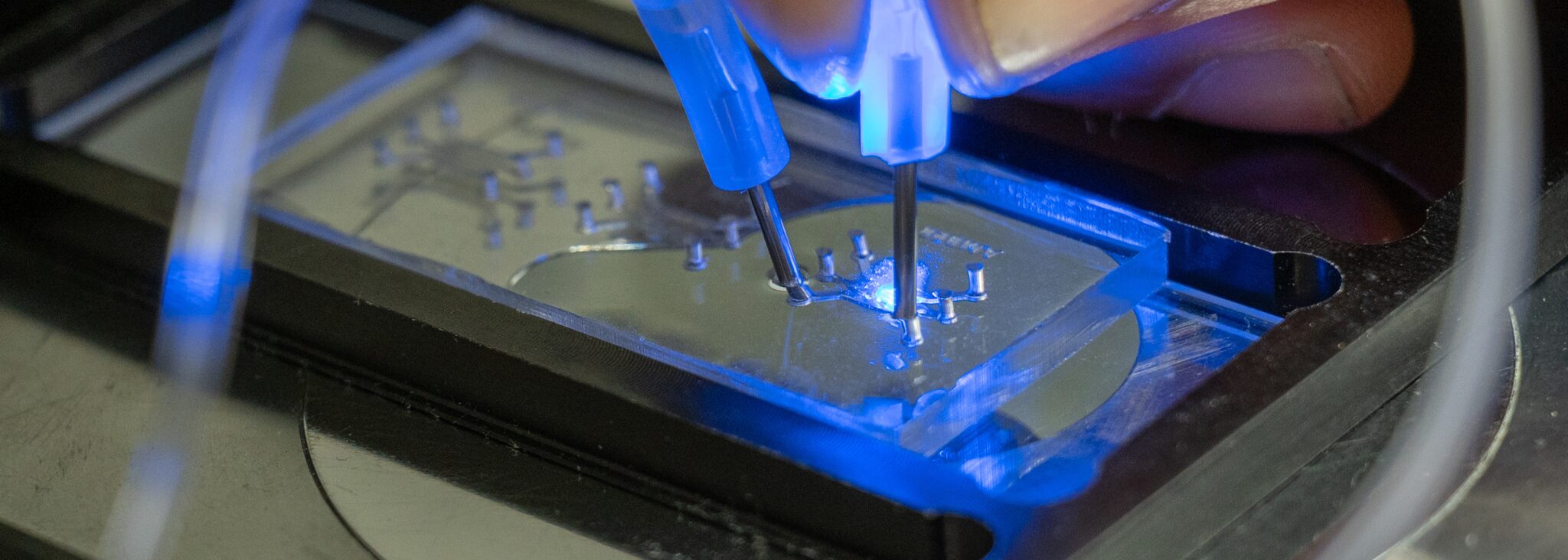 Smart chip shows: the next step in breast cancer research is animal-free