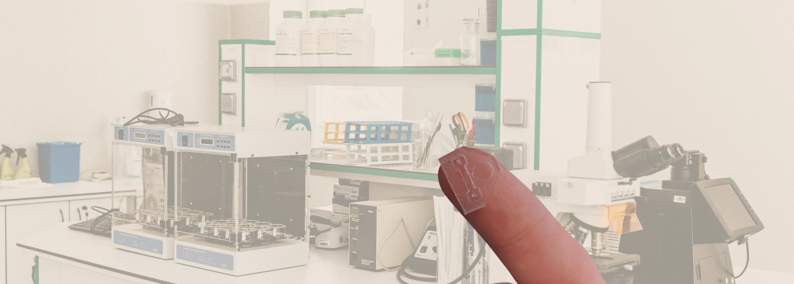 Innovative animal-free research model for muscle diseases no larger than a fingertip