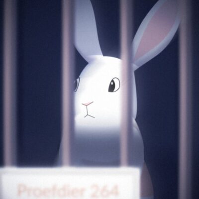 animatie campagne