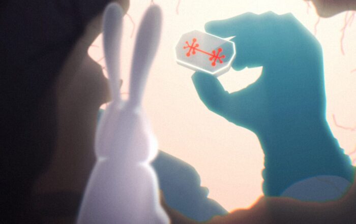 animatie campagne