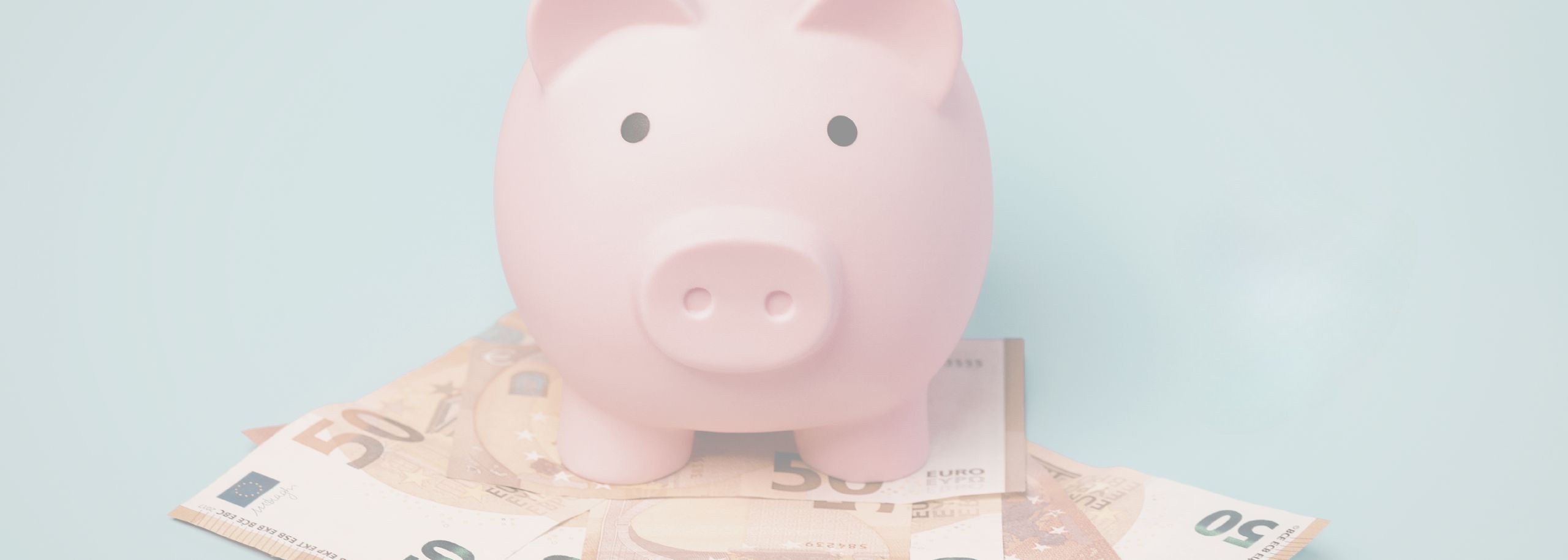 BPRC mag subsidie van Tweede Kamer blijven inzetten voor dierproeven