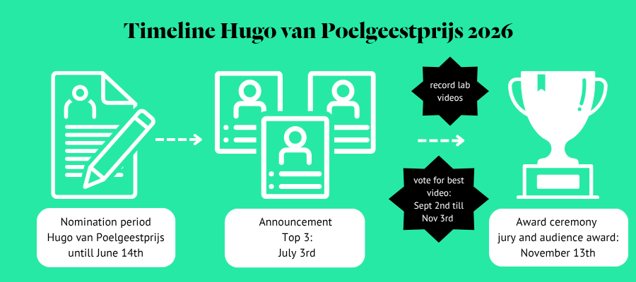 HvP timeline EN Timeline HvP 2026