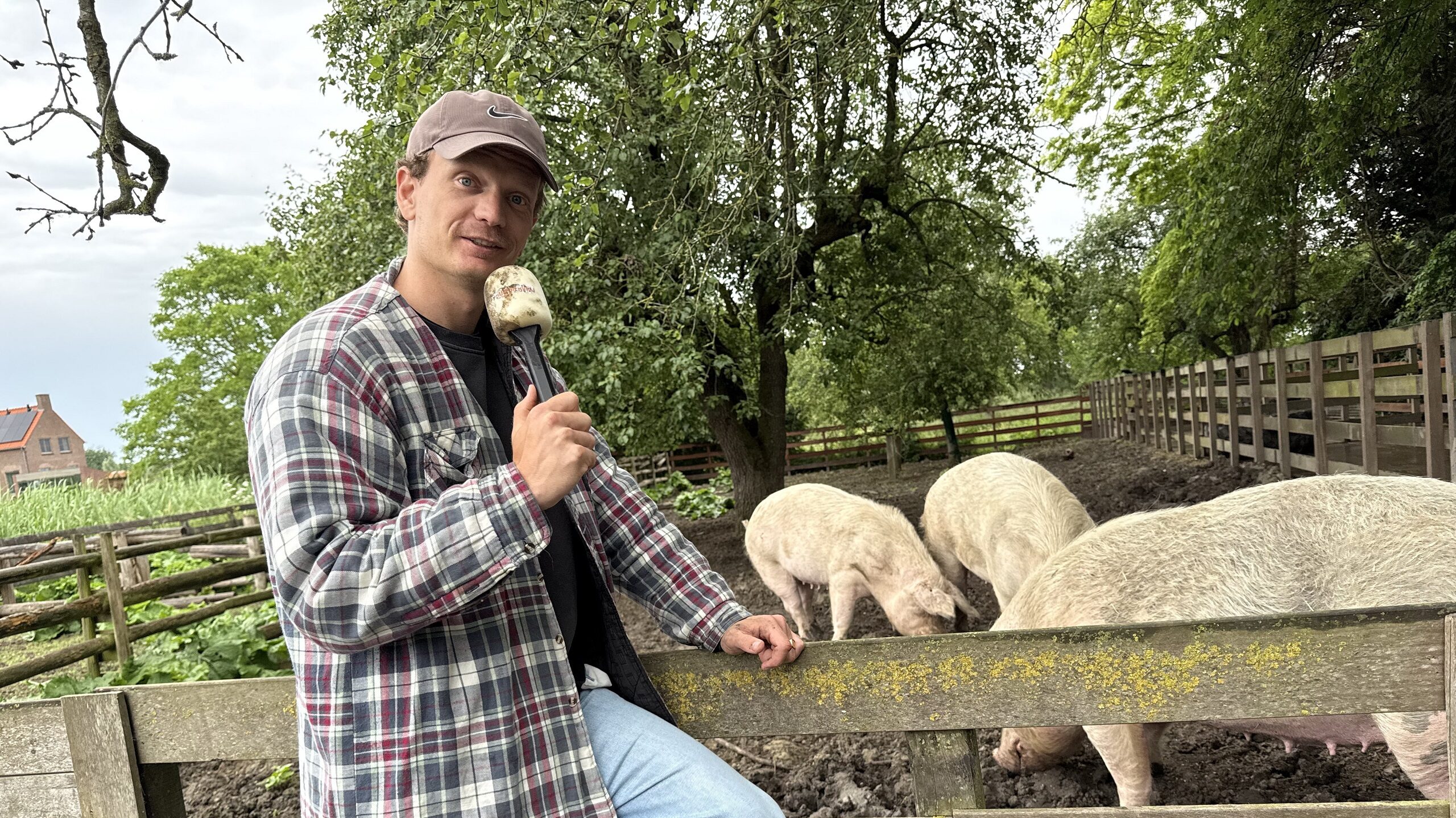 Onderonsje met de Roze Dames van Landgoed de Peerdegaerdt: “Iedere nacht slapen ze lepeltje-lepeltje-lepeltje”