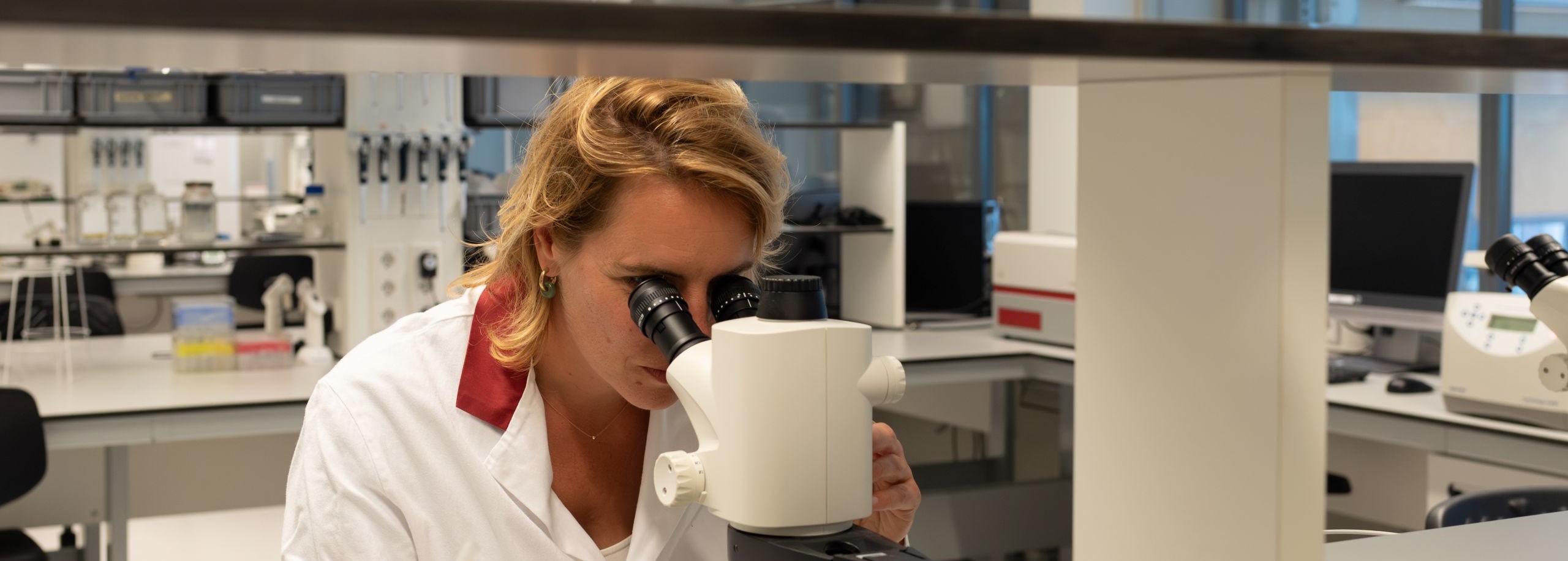Professor Anne Kienhuis: from animal-free innovation to practice