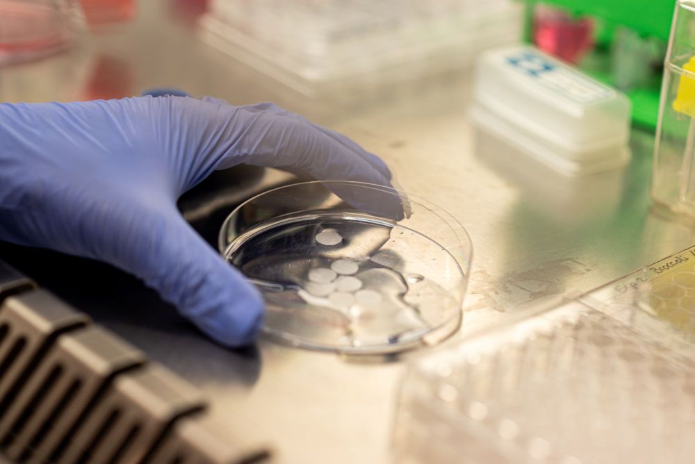 kweekschaaltje in het lab van anne kienhuis
